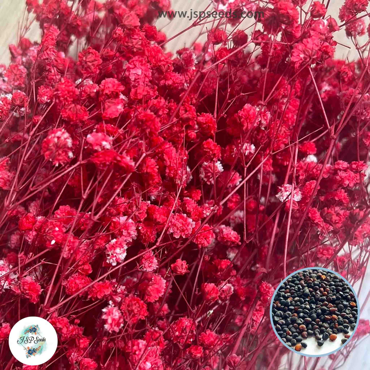 600 Red Gypsophila paniculata L Baby's Breath Gypsophila Flower Seeds