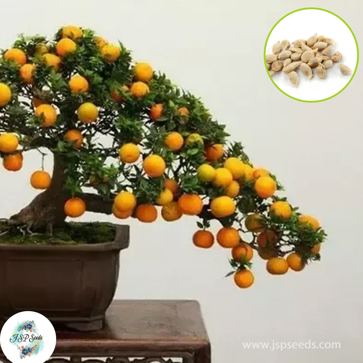 30 Lemon Bonsai Potted Balcony Planting Seasons Sprouting 95% Kaffir Lime Seeds