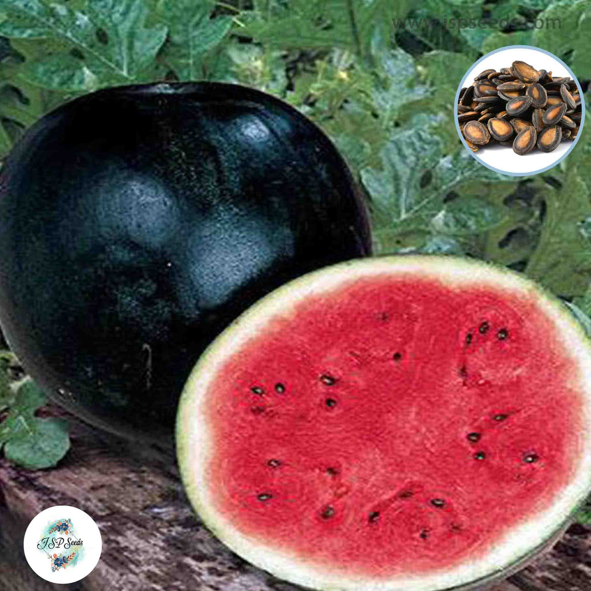 50 Giant Black Watermelon Seeds (Asia Fruit)