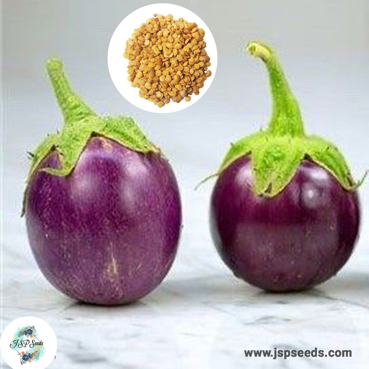 250 Eggs Plant Baby Purple Eggplant Seeds (Asia Vegetable)