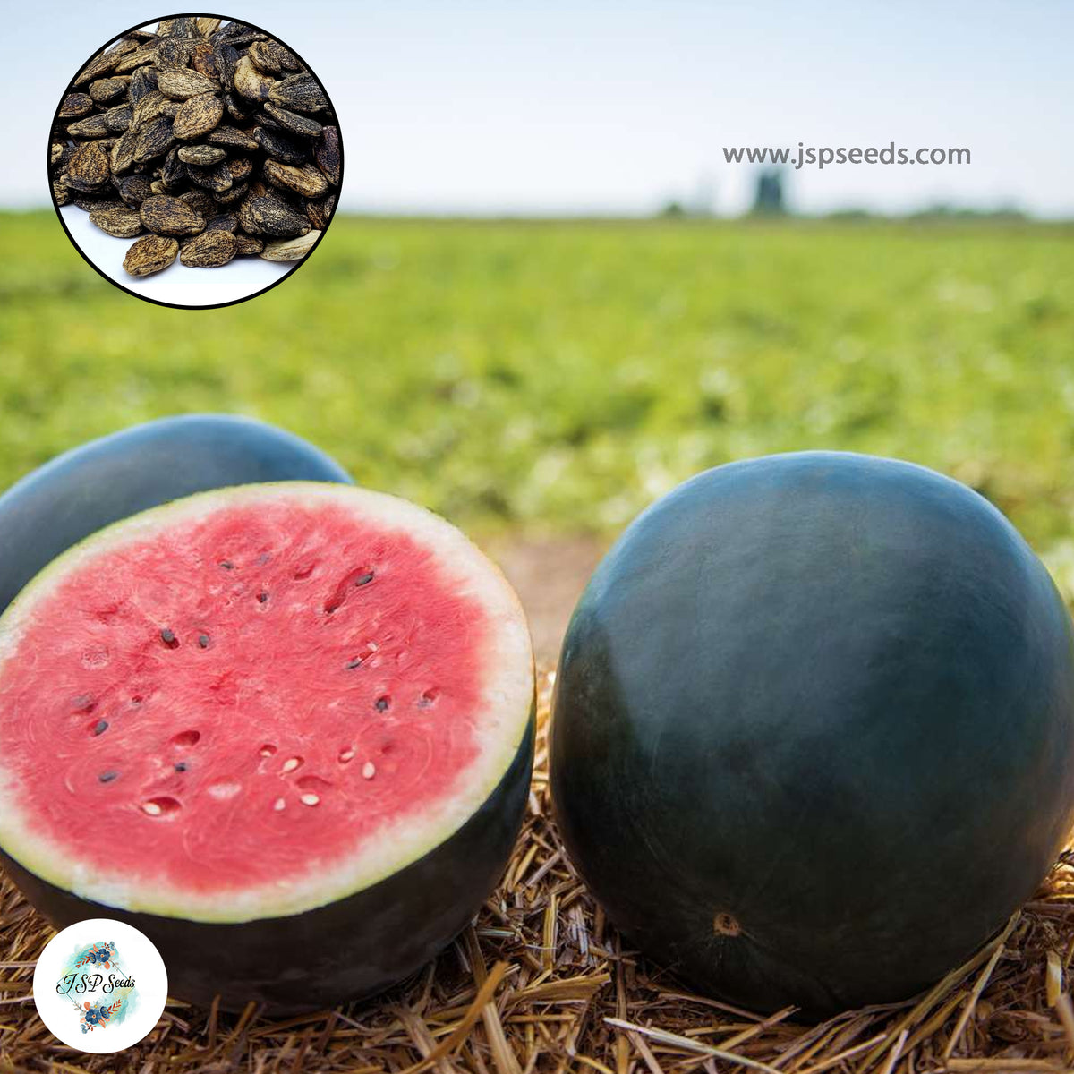 50 Black Diamond Watermelon Seeds