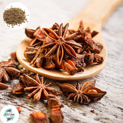 20 Star Anise Tree Fennel Branch Chinese Kitchen Cooking Seasoning Spices Illicium Verum Hook Herbal Medicine Seeds