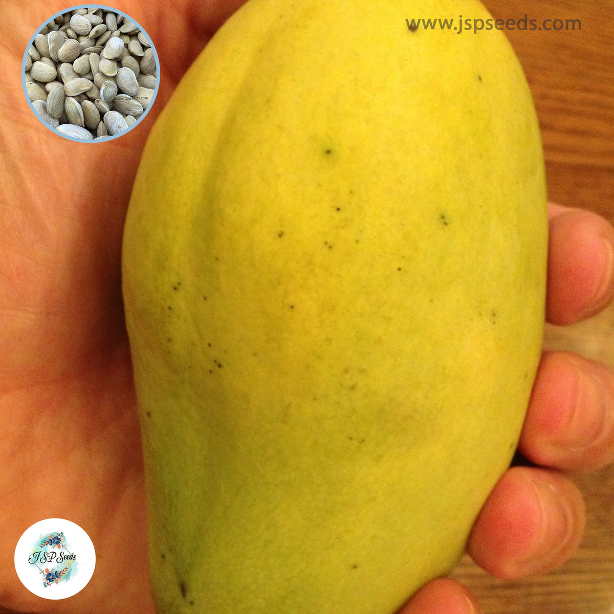 5 Thai Ok Rhong Damnoen Mango Seeds (Asia Fruit) Delicious Mango Fruit Tree (Mangifera indica L.)