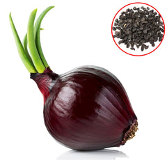 100 Rare Black Onion Heirloom Seeds (Vegetable Potted Plants)