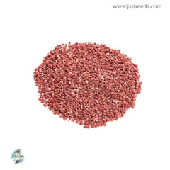 30 Red currant Seeds