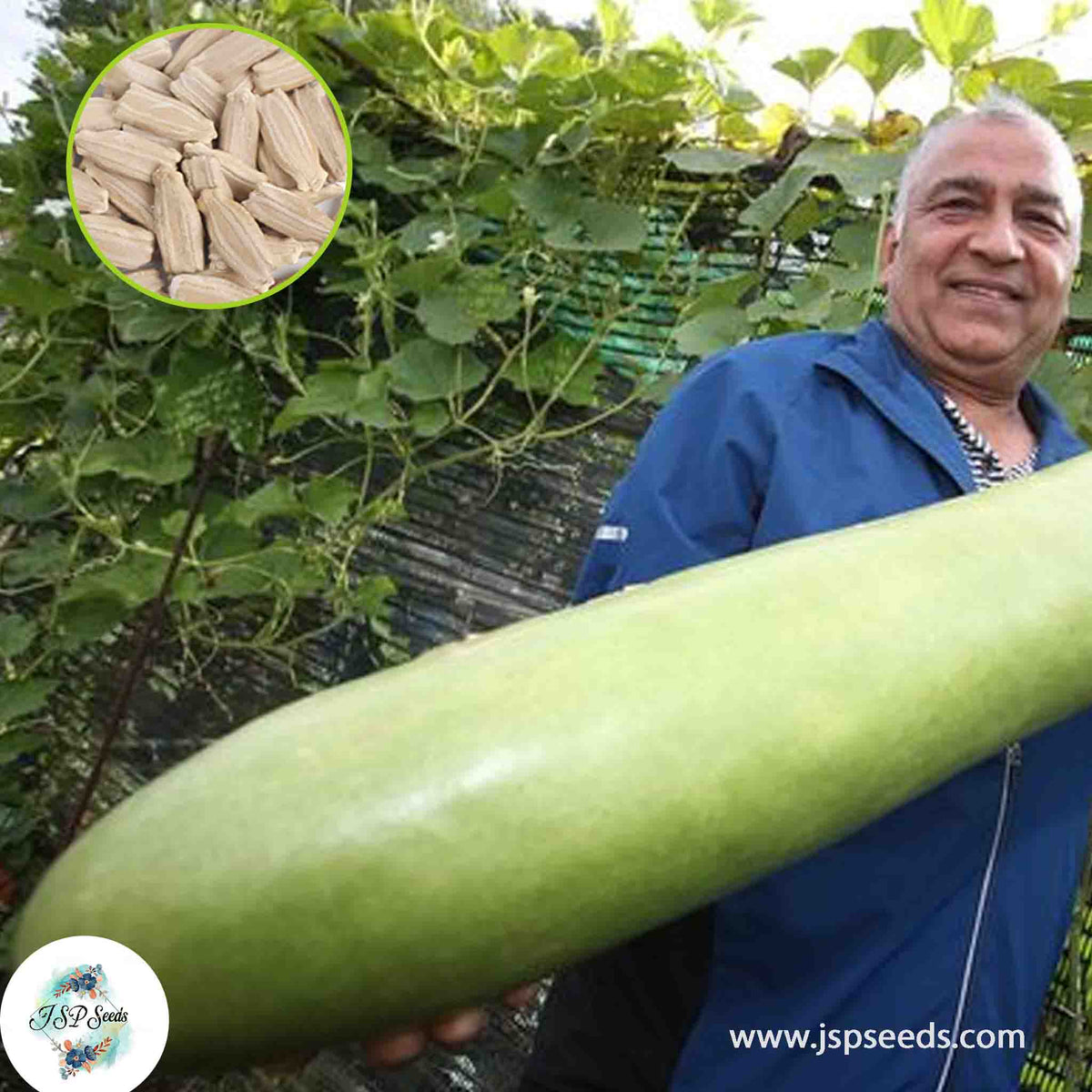 30 Giant Gourd Heirloom Seeds (Vegetable Potted Plants)