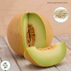 45 Cantaloupe Seeds (Asia Fruit)