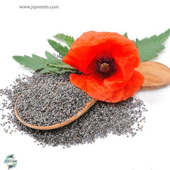 500 Poppy Flower Mix Flower Seeds (Flower Plants)