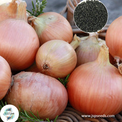 200 Storage Onion Seeds NON-GMO Heirloom Fresh Garden Seeds (Vegetable Potted Plants)