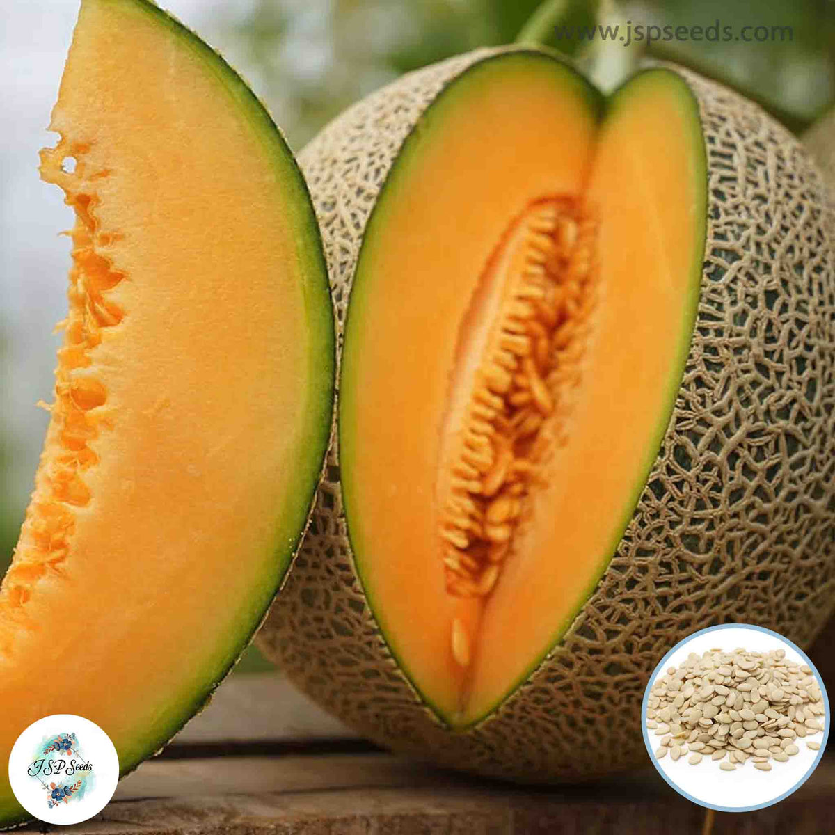 50 Muskmelon Sweet Cantaloupe Melon Organic Fruit Planting Potted Tree Home Garden Seeds