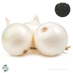 200 White Grano Onion Seeds NON-GMO Heirloom Fresh Garden Seeds (Vegetable Potted Plants)