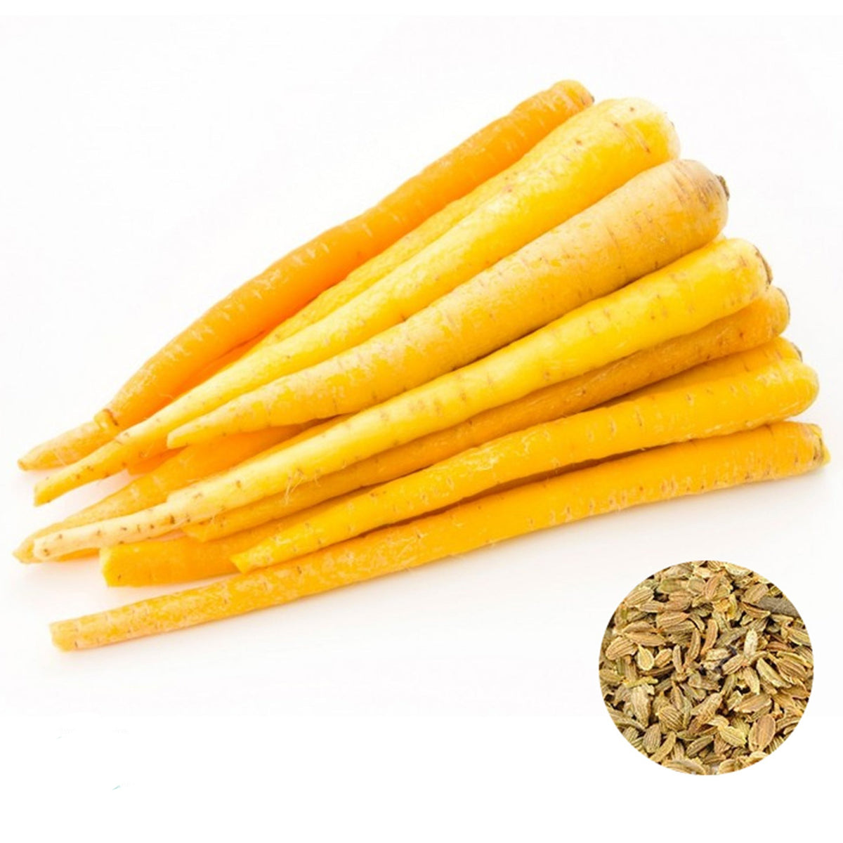 100 Solar yellow carrot Heirloom Seeds (Vegetable) Non Gmo