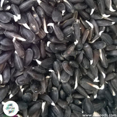 50 Sunflower Sprout Seeds (Asia Vegetable)