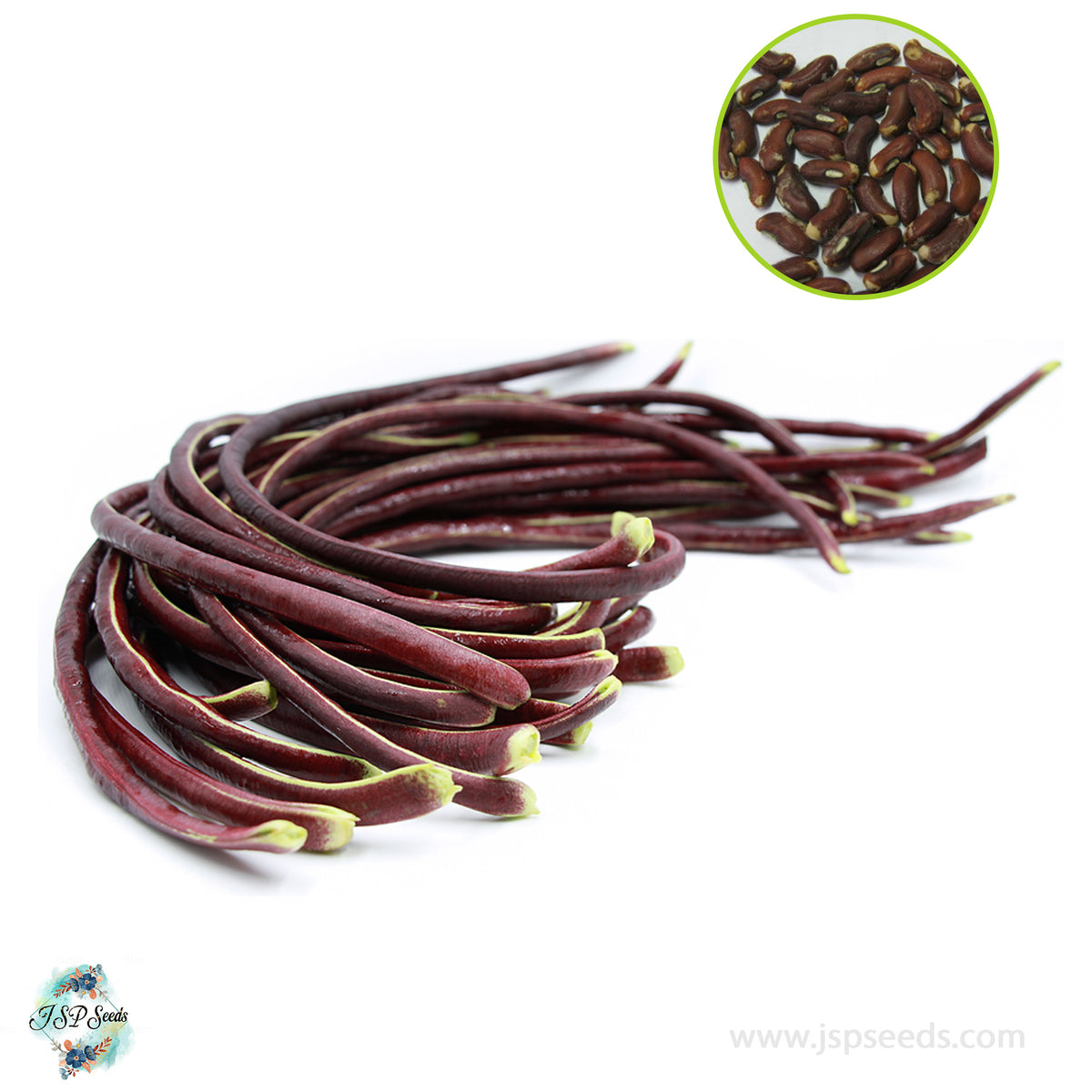 30 Purple Yard Long Green Bean Seeds (Asia Vegetable) String beans (Vigna unguiculata subsp. sesquipedalis)