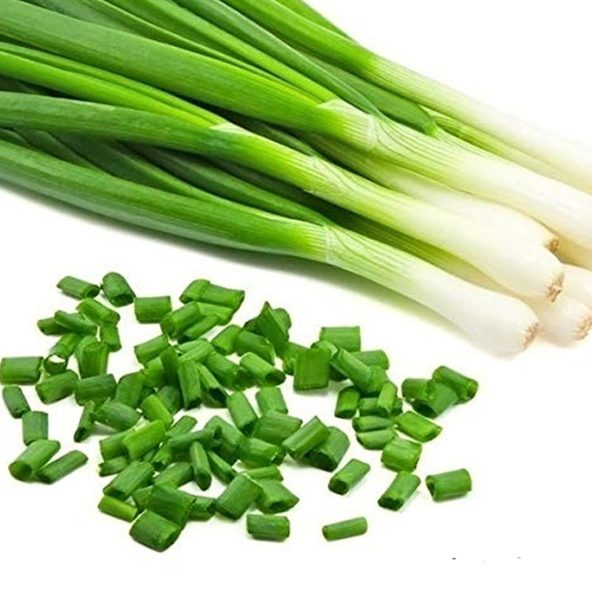 100 Green onion (Chives) Organic Heirloom Seeds (Vegetable) Non Gmo