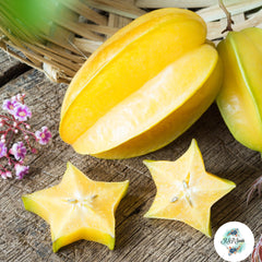 20 Heirloom Exotic Star Fruit Averrhoa Carambole Ceylon Pure Organic Seeds (Asia Fruit)