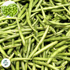 50 Green Bean Organic Vegetable Planting Heirloom Seeds (Vegetable Potted Plants)