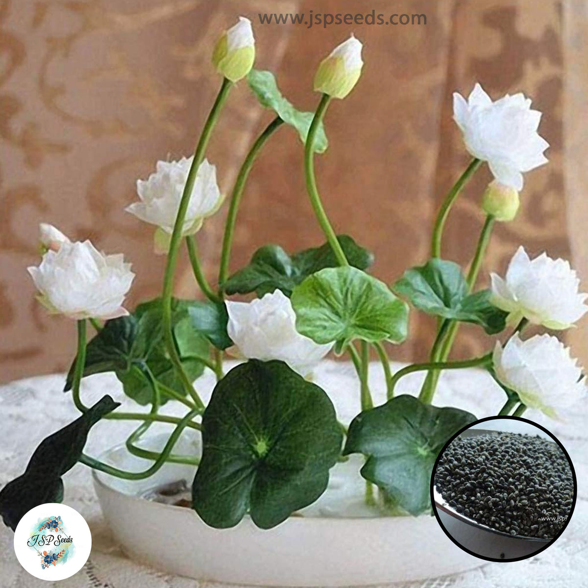 50 Thai Heirloom Mini Lotus Water lily flower Bonsai Seeds Water Plants (Original Thai Seeds) 001