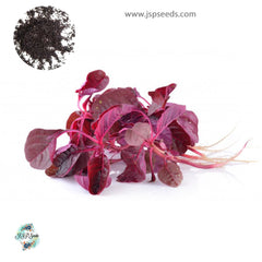 3000 Amaranth Red Garnet Microgreens & Grains Edible Seeds (Asia Herbal)