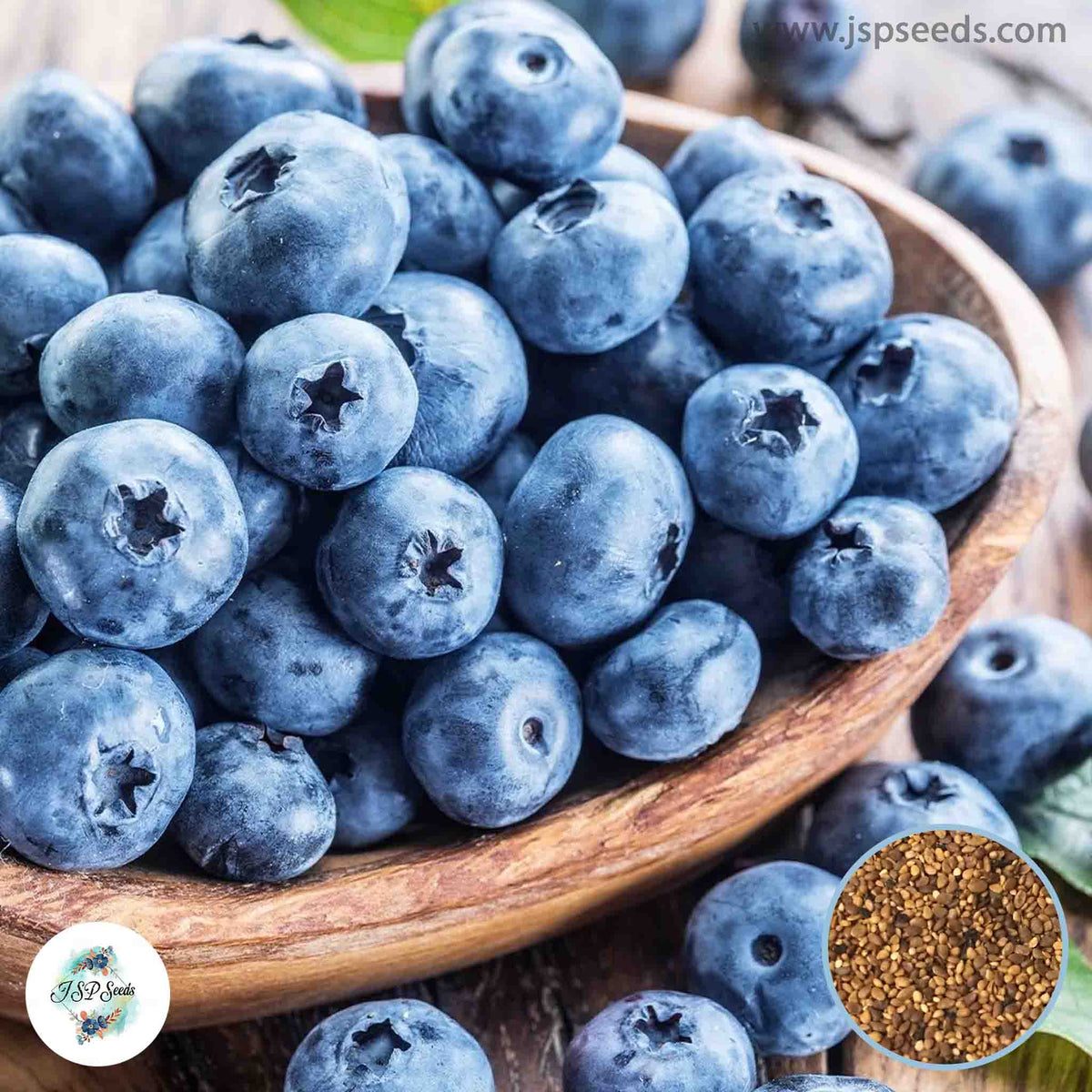 50 Blueberry Seeds (Fruit) heirloom, organic, non-GMO