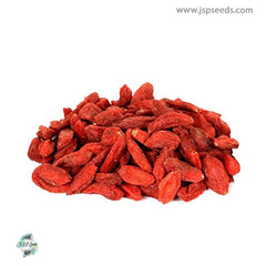 50 goji berry wolfberry Seeds (Asia Fruit)