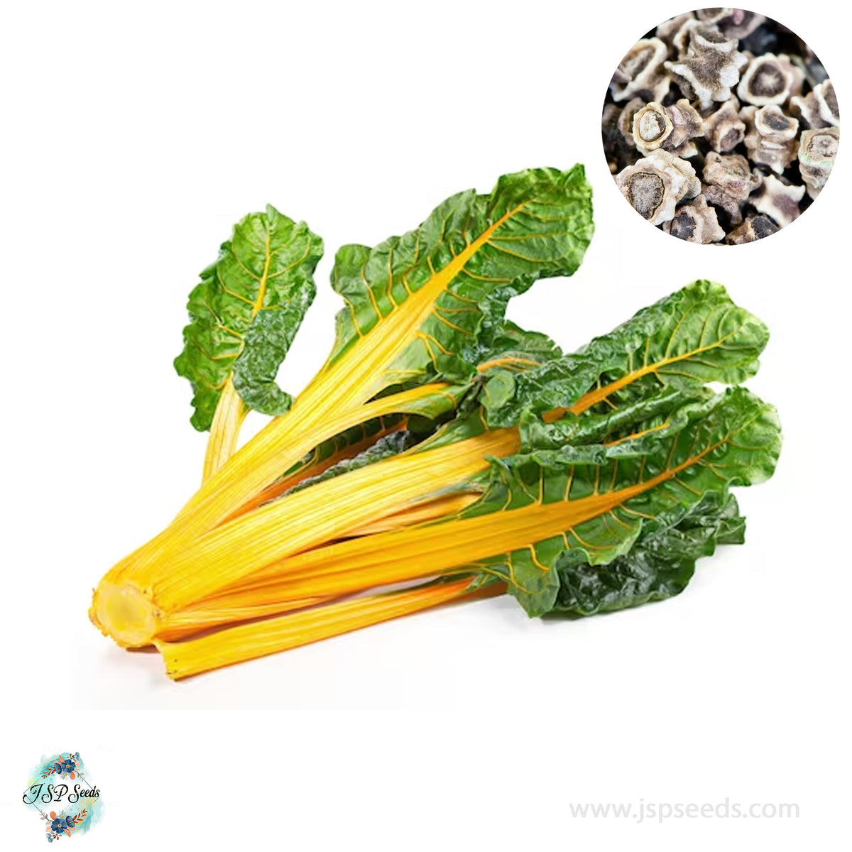 200 Swiss Chard Yellow Heirloom Seeds (Vegetable) Non Gmo