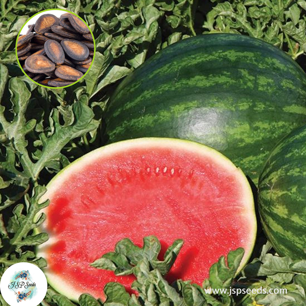 30 Giant Red Watermelon Seeds Tropical Sweet Seeds (Asia Fruit)