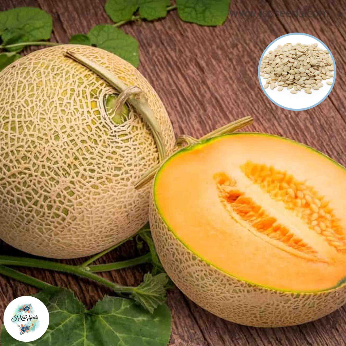 35 Yubari King Melon Seeds (Asia Fruit)