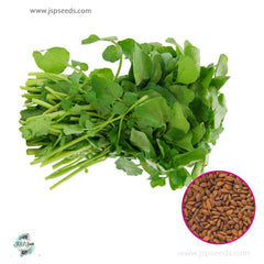 500 Watercress Salad Heirloom Seeds (Vegetable) Non Gmo