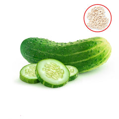 100 Cucumber Plant Heirloom Seeds (Vegetable Potted Plants)