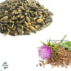 100 Milk Thistle Seeds