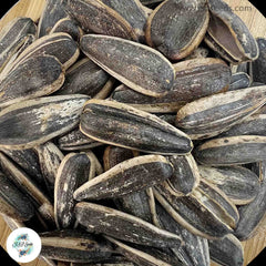 50 Lemon Aura Sunflower Seeds (Plant Flower)