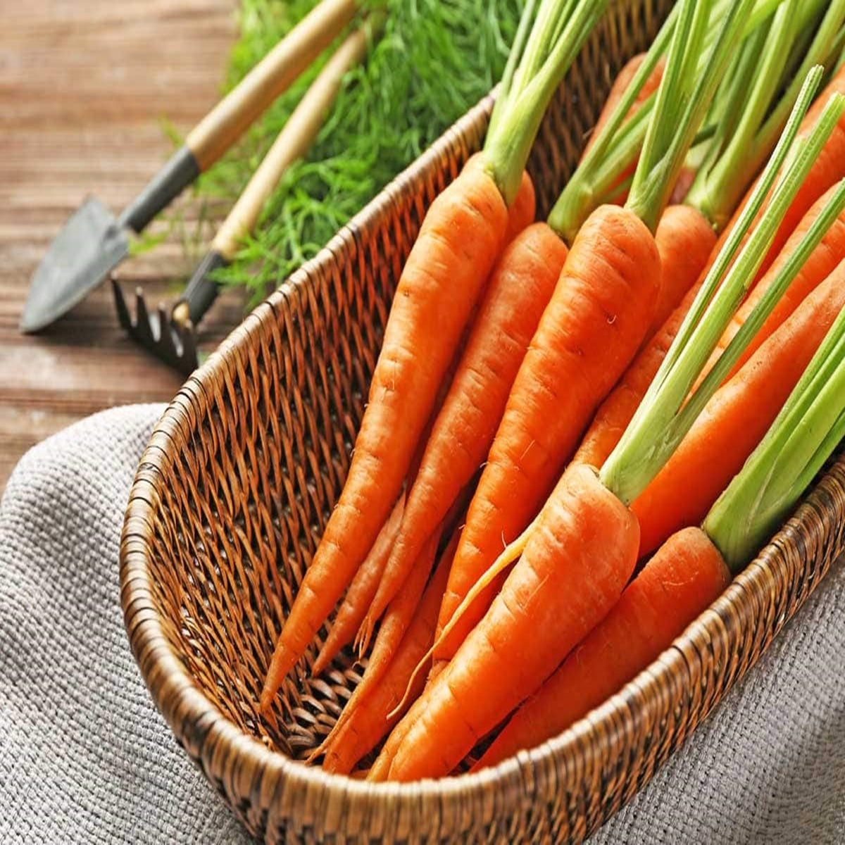 100 Little Finger Carrot Organic Heirloom Seeds (Vegetable) Non Gmo