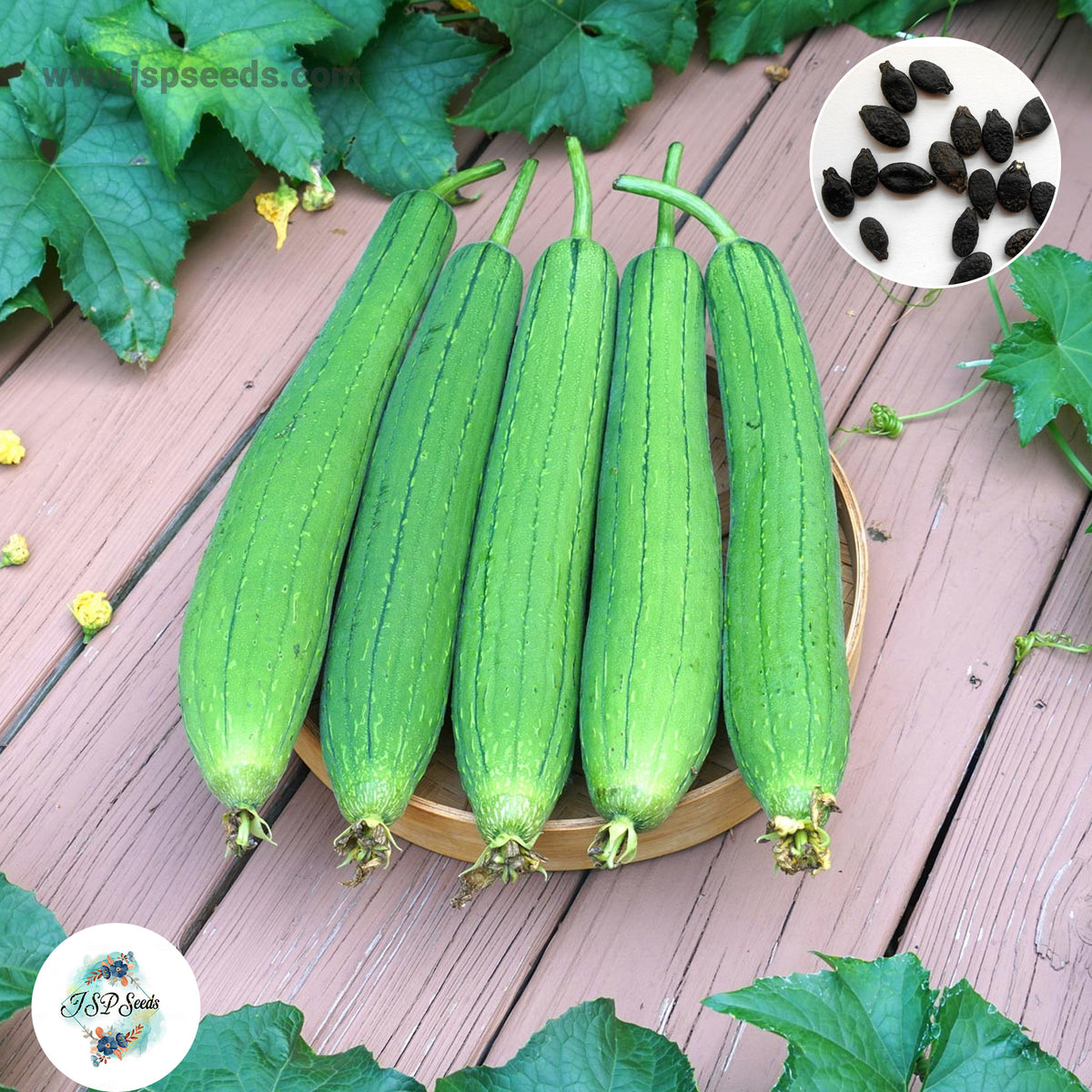 20 Luffa Gourd Heirloom Seeds (Vegetable Potted Plants)