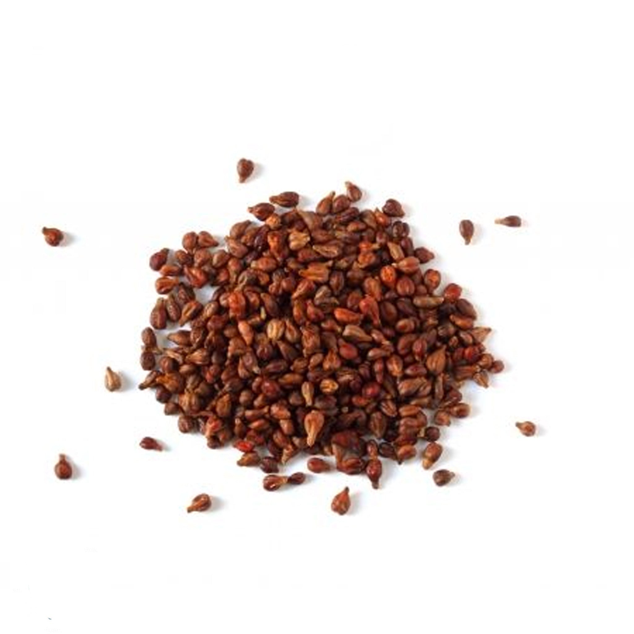 Yellow Seeds Inside Raspberry 100 Honey Queen Yellow Raspberry Seeds – JSPSeeds