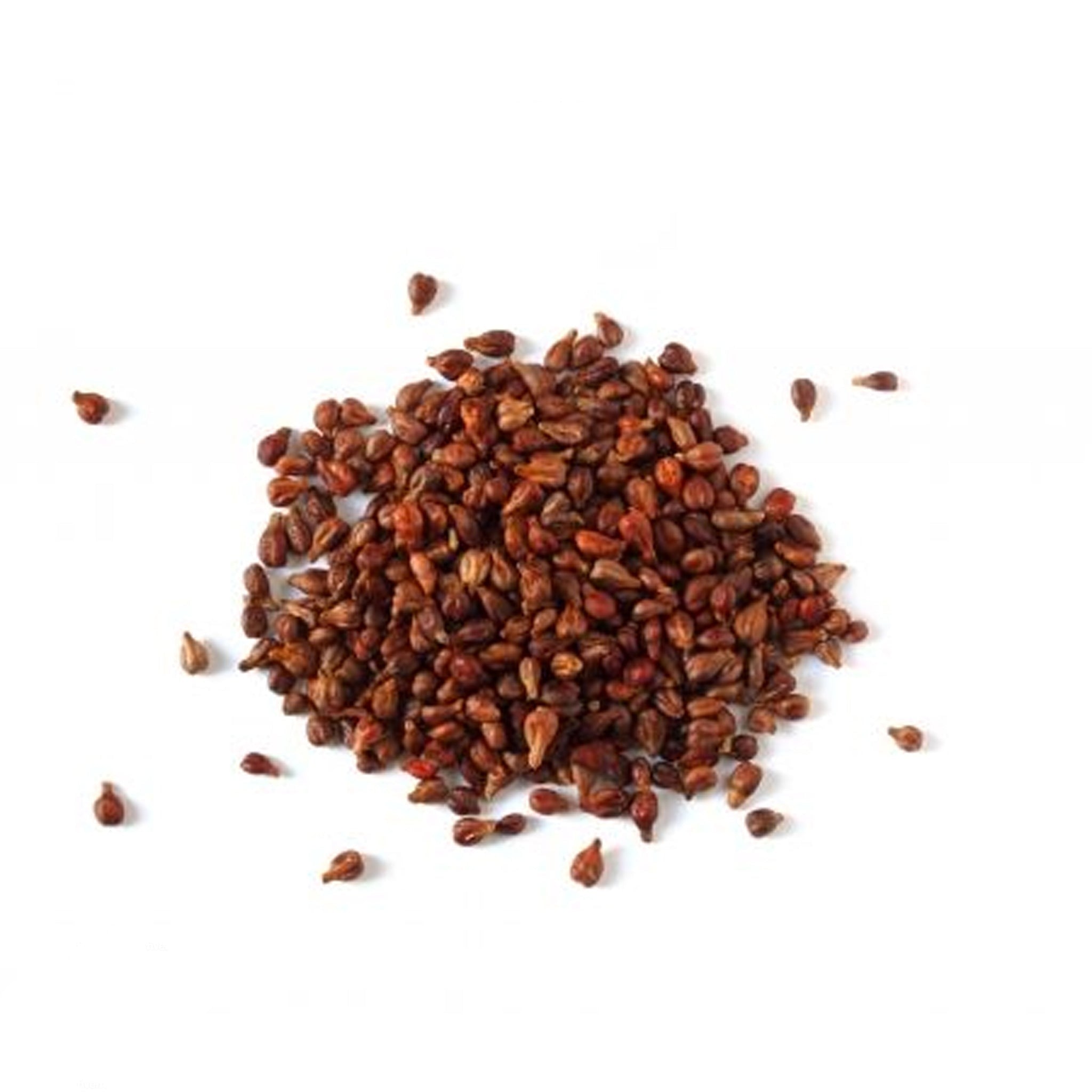 Giant Red Raspberries 100 Giant Red Raspberry Seeds (Fruit) β JSPSeeds