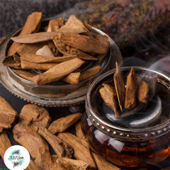 20 Agarwood eaglewood gaharu, aloeswood chinese agarwood herb Seeds