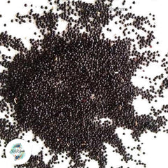 3000 Amaranth Garnet Microgreens & Grains Edible Seeds (Asia Herbal)