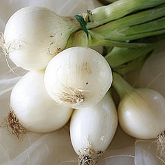 200 Crystal White Wax Onion Seeds NON-GMO Heirloom Fresh Garden Seeds (Vegetable Potted Plants)