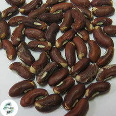 30 Purple Yard Long Green Bean Seeds (Asia Vegetable) String beans (Vigna unguiculata subsp. sesquipedalis)