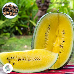 50 Yellow Watermelon Seeds (Asia Fruit)